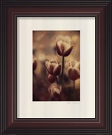 preframed
