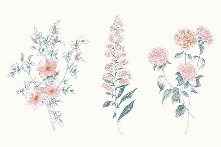 Flowers on White IX Contemporary Bright by Wild Apple Portfolio art print