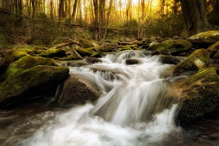 Roaring Fork by Andy Amos art print