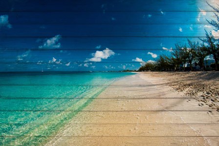Cayman Islands Beach on Wood by Bill Carson Photography art print