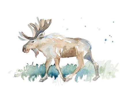 Watercolor Moose by Lanie Loreth art print