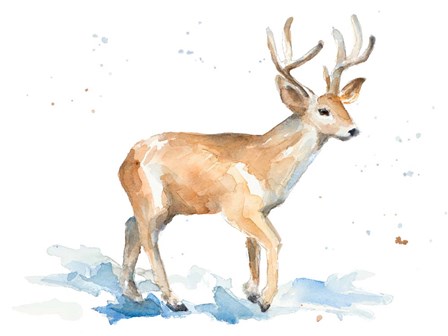 Watercolor Deer by Lanie Loreth art print