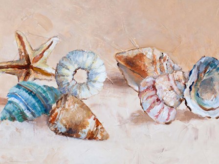 Shells on the Shore Rectangle by Lanie Loreth art print