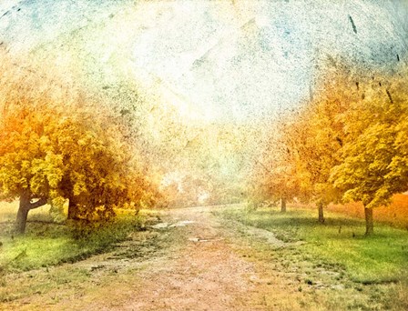 Oak Path by Ynon Mabat art print