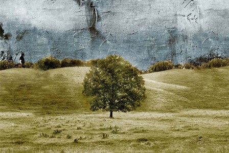 Tree in the Valley by Ynon Mabat art print