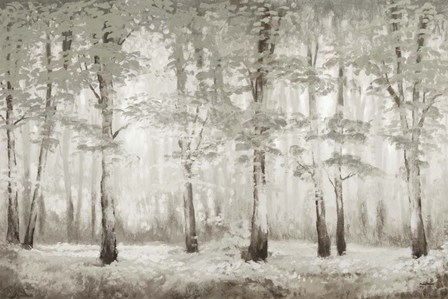 Misty Woodland Glow by Michael Marcon art print