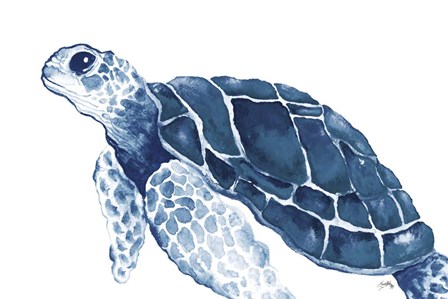 Turtle in the Blues by Elizabeth Medley art print