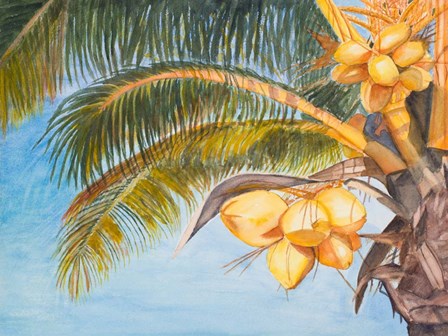 Coconut Palm Trees by Jan Odum art print