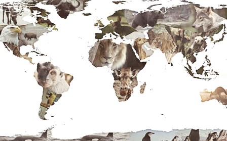 World Animals Map by SD Graphics Studio art print