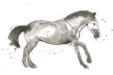 Equine Impressions I by June Erica Vess art print