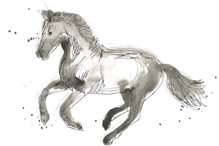 Equine Impressions II by June Erica Vess art print