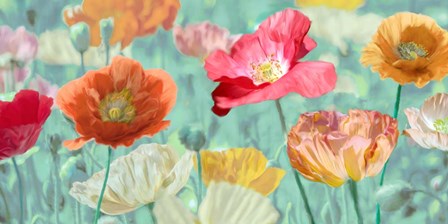Poppies in Bloom by Cynthia Ann art print