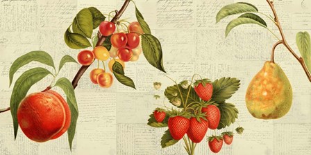 Fruits de Saison by Remy Dellal art print