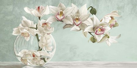 Orchid Arrangement II (Celadon) by Remy Dellal art print