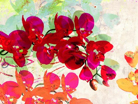 Orchidreams by Kelly Parr art print