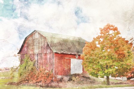 Autumn Maple by the Barn by Bluebird Barn art print
