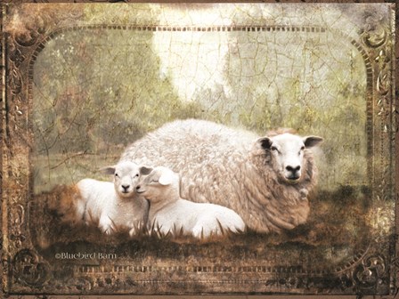 Vintage Ewe and Sleeping Lambs by Bluebird Barn art print
