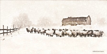 Warm Winter Barn with Sheep Herd by Bluebird Barn art print