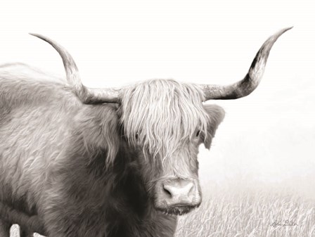 Highland Cow by Lori Deiter art print
