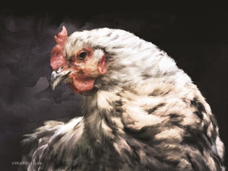 Rooster Portrait by Bluebird Barn art print
