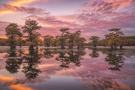 Magnificent Sunset in the Swamps by Martin Podt art print