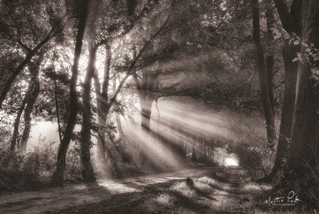 Black and White Rays by Martin Podt art print