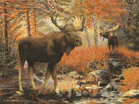 Call of the Wild by Ed Wargo art print