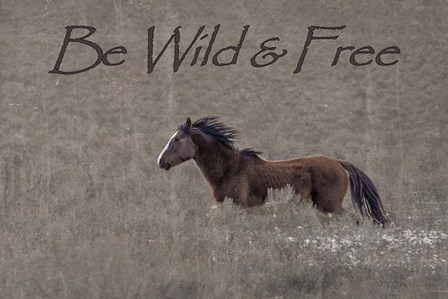 Be Wild &amp; Free by Larry McFerrin art print