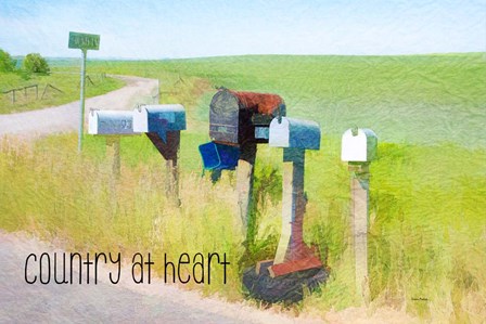 Country at Heart by Ramona Murdock art print