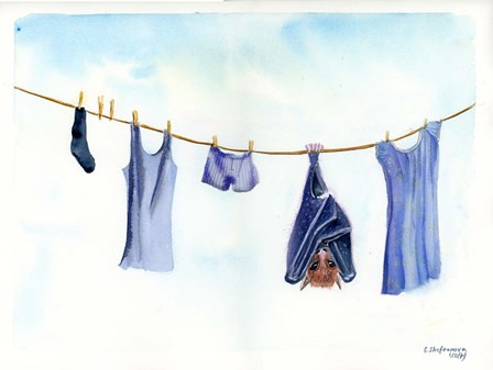 Clothesline II by Olga Shefranov art print