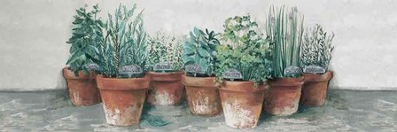 Pots of Herbs II Cottage v2 by Carol Rowan art print