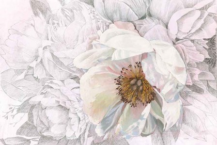 Blooming Sketch by James Wiens art print