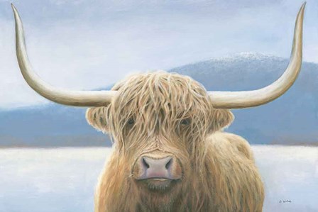 Highland Cow by James Wiens art print