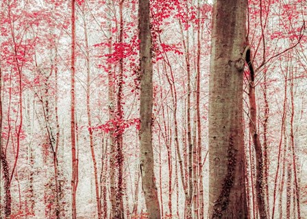 Pink &amp; Brown Fantasy Forest by Brooke T. Ryan art print