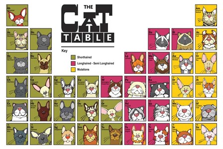 The Cat Table by Angry Squirrel Studio art print