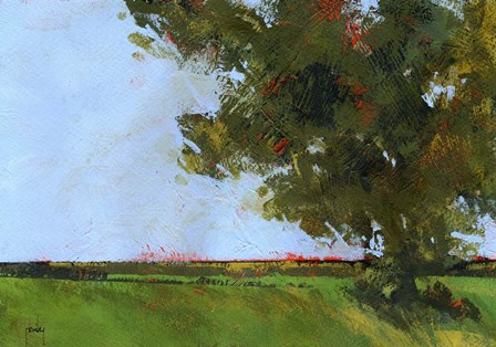 Autumn Oak and Empty Fields by Paul Bailey art print