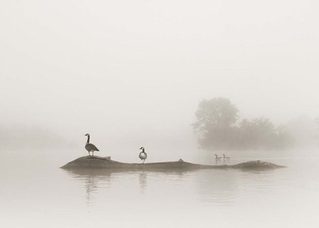 Melton Lake by Nicholas Bell art print