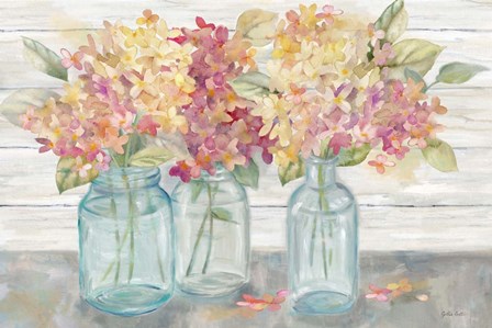 Farmhouse Hydrangeas in Mason Jars Spice by Cynthia Coulter art print
