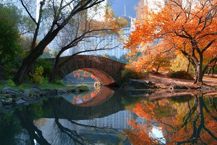 Gapstow Bridge, Fall by Michael Chen art print