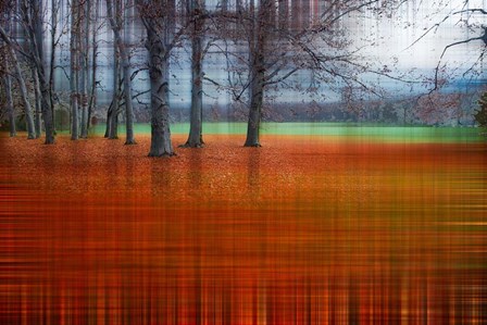 Abstract Autumn by Hannes Cmarits art print
