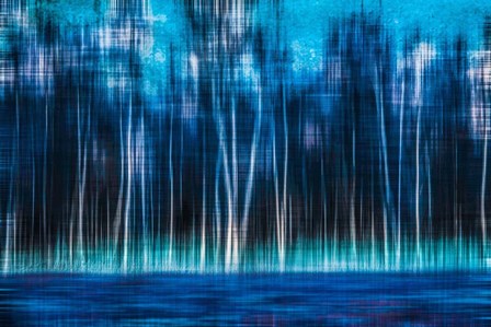 Mystic Forest by Hannes Cmarits art print