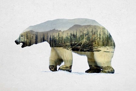 Arctic Polar Bear by Davies Babies art print