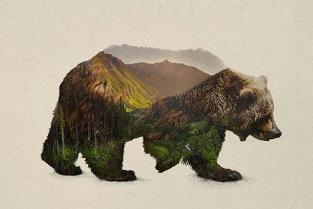 North American Brown Bear by Davies Babies art print