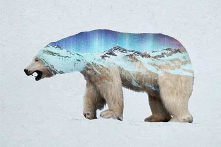 The Arctic Polar Bear by Davies Babies art print