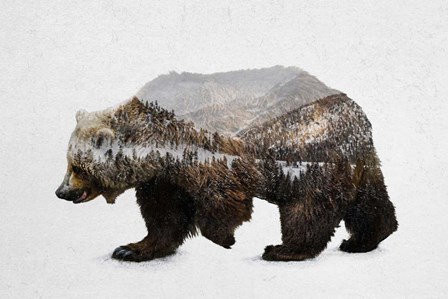 The Kodiak Brown Bear by Davies Babies art print