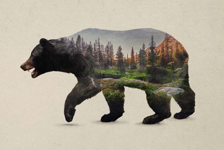 The North American Black Bear by Davies Babies art print