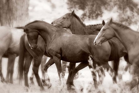 The Herd by Lisa Dearing art print