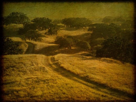 Ranch Road and Oak Savannah by William Guion art print