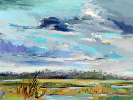 Marsh Skies by Carol Hallock art print