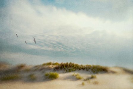 Dunes 1 by Dawn Hanna art print